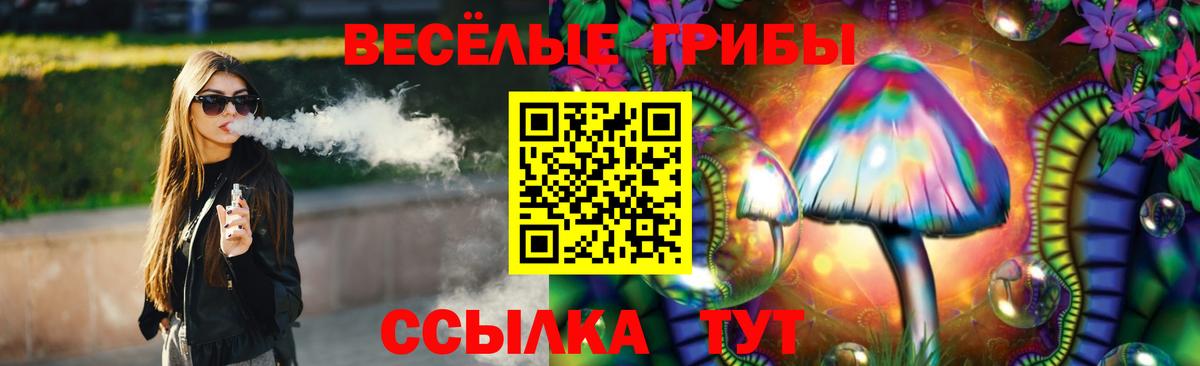 Галлюциногенные грибы Psilocybine cubensis Избербаш